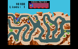 Road Runner atari screenshot