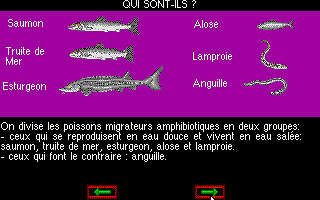 Salmo atari screenshot
