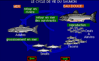 Salmo atari screenshot