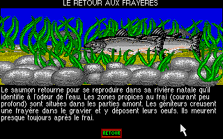 Salmo atari screenshot