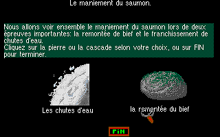 Salmo atari screenshot