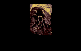 Schizo atari screenshot