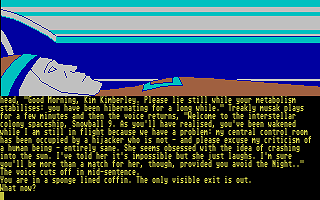 Snowball atari screenshot