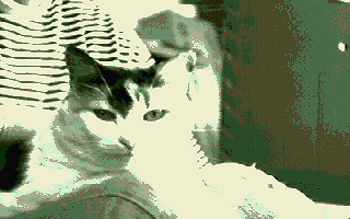 Stage II atari screenshot
