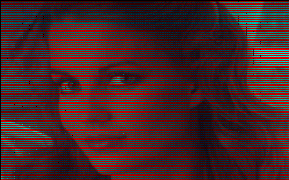VGA Picture Slideshow — screenshot 1