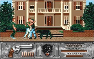 Wild Streets atari screenshot