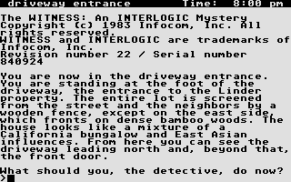 Witness (The) atari screenshot