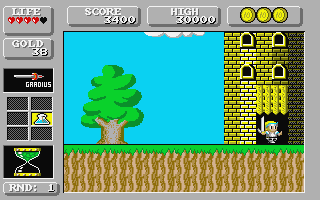 Super Wonder Boy in Monsterland — screenshot 10
