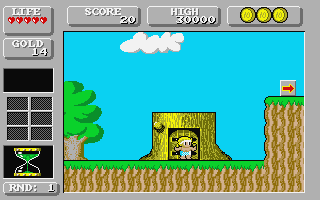 Super Wonder Boy in Monsterland — screenshot 3