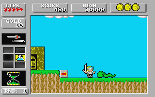 Super Wonder Boy in Monsterland — screenshot 8