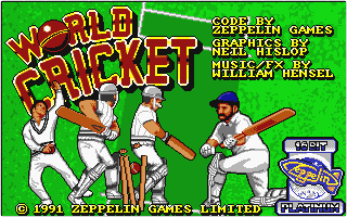 World Cricket — screenshot 1