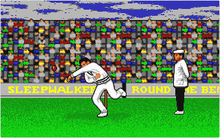 World Cricket atari screenshot