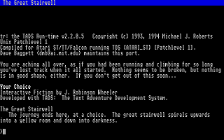 Your Choice — screenshot 1