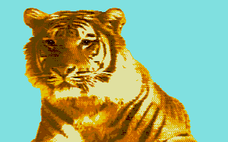 Zoomaker — screenshot 1